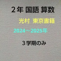 2025年最新】算数カラーテスト 3年生 東京書籍の人気アイテム - メルカリ
