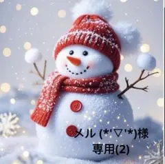 メル (*'▽'*)様専用(2)