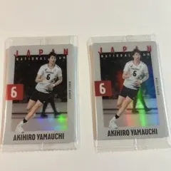 Item thumbnail for item 6fcc6ebf-7901-4838-9bcf-1b851052836d