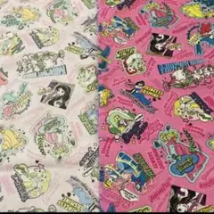 レア　ディズニープリンセス　ラメ入り　カット布セット