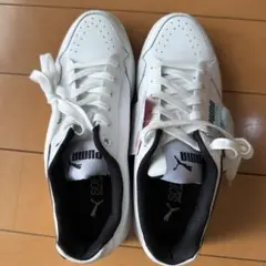 Item thumbnail for item 2acaa686-4c56-4efa-9c2d-2e20c74b82d4