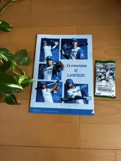 北海道日本ハムファイターズとLAWSONがコラボした限定クリアファイルのサムネイル