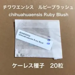 アマゴ様 リクエスト 2点 まとめ商品