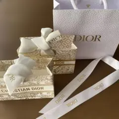 Christian Dior 小さめギフトバッグ　3点セット