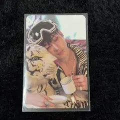 Stray Kids バンチャン トレカ