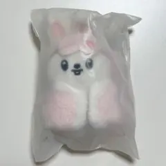 2026年最新】10cm skzoo leebitの人気アイテム - メルカリ
