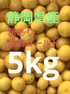 静岡県産訳あり湘南ゴールド