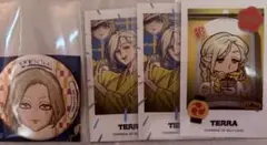 カリスマ テラ 凡祭り 入場特典 缶バッジ チェキ風カード チェキ