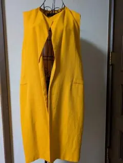 ZARA WOMAN 　ジレのサムネイル