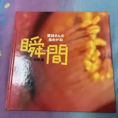 まるごとお芋パフェ様 リクエスト 2点 まとめ商品