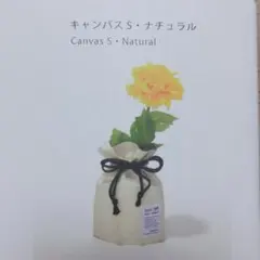 Item thumbnail for item c05cbc43-836f-4002-ae99-7aee77a7679b