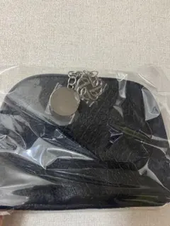 DECORTE オリジナルポーチ　新品未使用