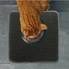 Item thumbnail for item 2e3ecc23-702f-4abc-b16c-9542c71ede31