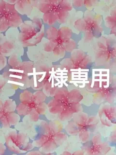 ミヤ様専用ページ