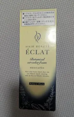 《新品・未使用品》ボタニカル エアカラーフォームEX ブラック 80g 1本のサムネイル