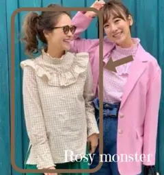 新品未使用♡rosymonster♡ギンガムチェックブラウス♡ピンク♡F 2025年最新】rosy monster ブラウス ギンガムの人気アイテム - メルカリ