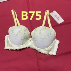 トリンプ　B75 ホワイト　華やかなブラジャー