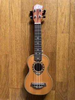 Item thumbnail for item 76dfb7ec-fa28-4fa1-9a03-3f9e1e0b8d5a