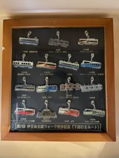 第6回 伊豆急全線ウォーク完歩記念 鉄道ピンバッジ額装 - メルカリ