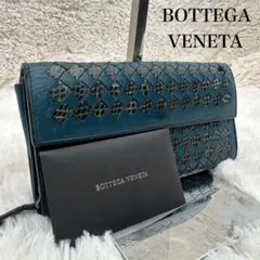 ✨人気✨ボッテガ　長財布　イントレチャート　パイソン　バイカラー　レザー　青