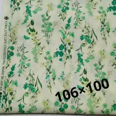 Item thumbnail for item ca95bd74-4985-494f-8e2f-da2b415b5d47