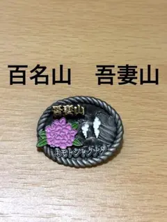 Item thumbnail for item 7b18f72b-10b2-4d56-98e8-1166d68ffbbd