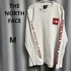 ロング丈 ロンt