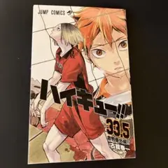 ハイキュー!! 33.5 音駒番外編