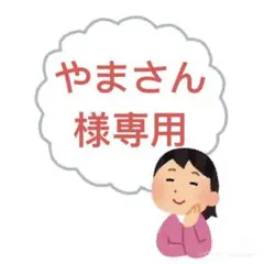 やまさん 様専用✨GW限定お値下げ中✨ ヴィヒキルース　紫　テラマグ