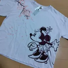 Item thumbnail for item cf184d29-54eb-4bb0-9e17-5a32536ba51d