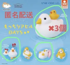 ふわふわフロッキーのもっちりアヒル DAYS 5個