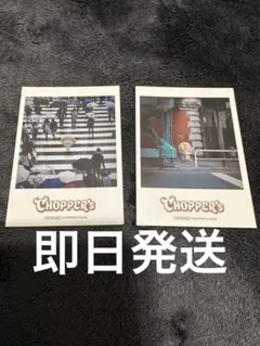 ONEPIECE BASE SHOP チョッパー 限定チェキ 2枚セット