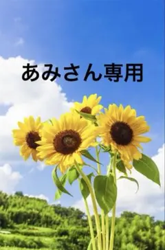 あみさん専用