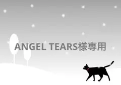 ANGEL TEARS様専用ページ