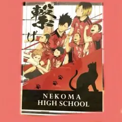 ハイキュー‼︎音駒高校対戦告知ポスター風　アクリルビジュアルボード、