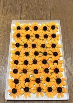 MOD様 リクエスト 2点 まとめ商品