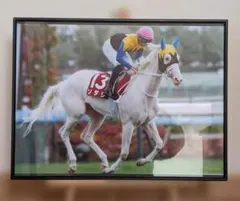 【非売品】タワーオブロンドン 額縁入り新馬戦優勝記念パネル 非売品】タワーオブロンドン 額縁入り新馬戦優勝記念パネル - メルカリ