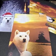 Item thumbnail for item 172fccc6-0e58-4c2b-a350-100f78dd3236