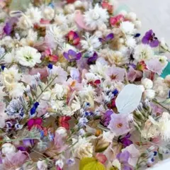 ドライフラワーの小花ミックスセット