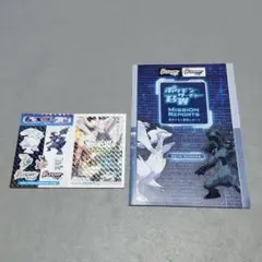 ポケモン BWサーチャー 冊子