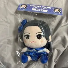 【入手困難】CANDY TUNE かわぬいver1 桐原美月 2026年最新】桐原美月 ぬいぐるみの人気アイテム - メルカリ