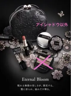 コスメデコルテ　2025クリスマスコフレ　アイシャドウ抜き