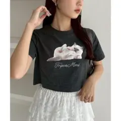 【one after another】アソートショートTシャツ 猫　★美品★