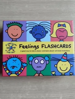 Todd Parr Feelings FLASHCARDS 知育玩具のサムネイル