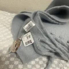 Item thumbnail for item 0bcc006b-4446-41ec-aeb3-7275723e4429