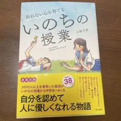 Item thumbnail for item 61cc1932-1073-457f-bad8-838f763c2a0b