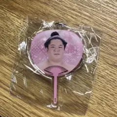 【新品未開封】大相撲ガチャ 応援うちわ ミニキーホルダー 宇良