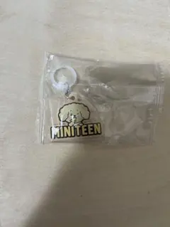 seventeen ミニティーン　ドギョム　めじるしアクセサリー　ガチャガチャ