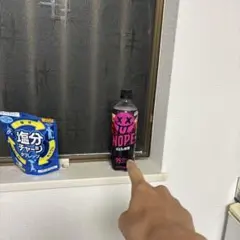 ノープのからのペットボトル（ゴミ）
