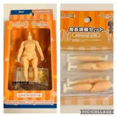 ねんどろいどどーる Man ボディ本体&身長調整セット almond milk